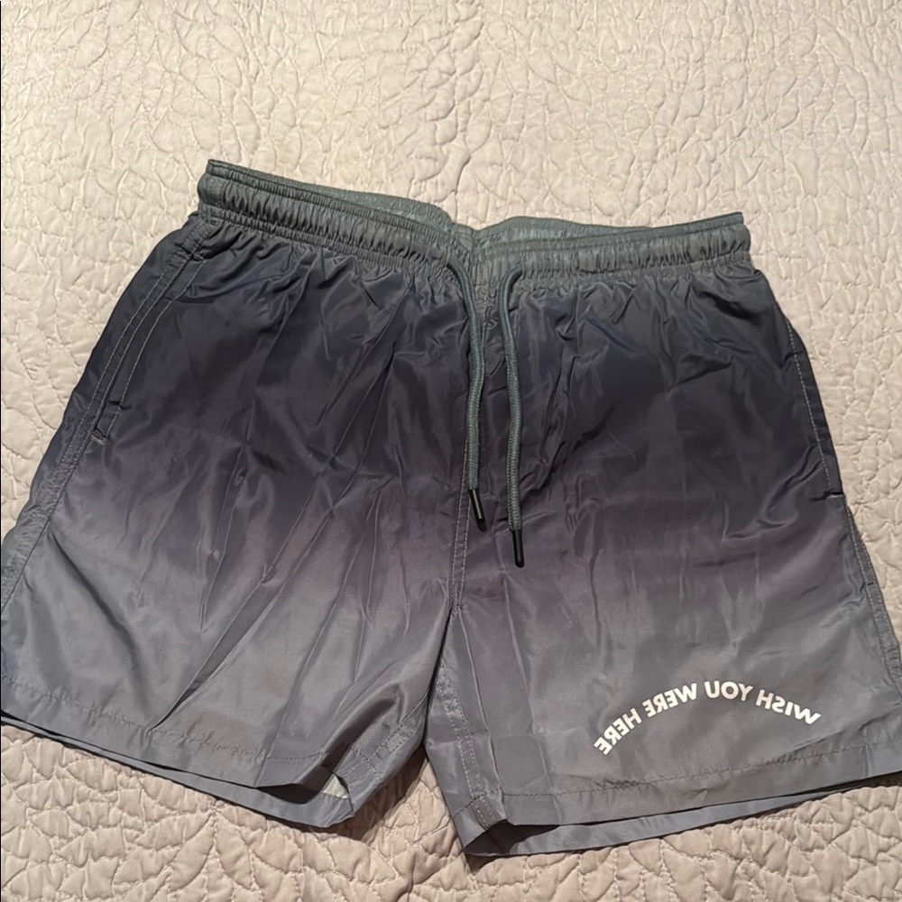 Wesc Gray Swim Shorts